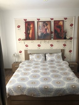 Lenjerie de pat pentru doua persoane, TDK Iacob, 100% bumbac, multicolor, 220x240 cm