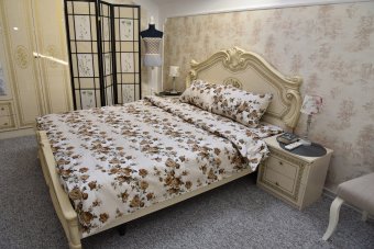 Lenjerie de pat pentru doua persoane, TDK Iacob, 100% bumbac, multicolor, 220x240 cm
