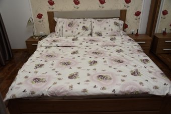 Lenjerie de pat pentru doua persoane, TDK Iacob, 100% bumbac satinat, multicolor, 235x200 cm