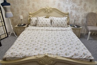 Lenjerie de pat pentru doua persoane, TDK Iacob, 100% bumbac satinat, multicolor,