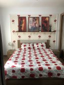 Lenjerie de pat pentru doua persoane, TDK Iacob, 100% bumbac, multicolor, 220x240 cm