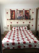 Lenjerie de pat pentru doua persoane, TDK Iacob, 100% bumbac, multicolor, 220x240 cm