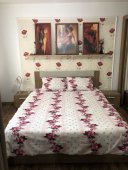 Lenjerie de pat pentru doua persoane, TDK Iacob, 100% bumbac, multicolor, 220x240 cm