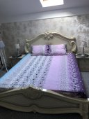 Lenjerie de pat pentru doua persoane, TDK Iacob, 100% bumbac, multicolor, 220x240 cm