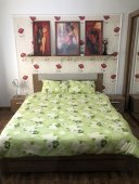 Lenjerie de pat pentru doua persoane, TDK Iacob, 100% bumbac, multicolor, 220x240 cm